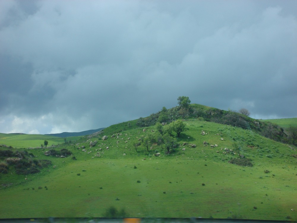 Colline siciliane fra Enna e Palermo Sicilian hills midway Enna-Palermo