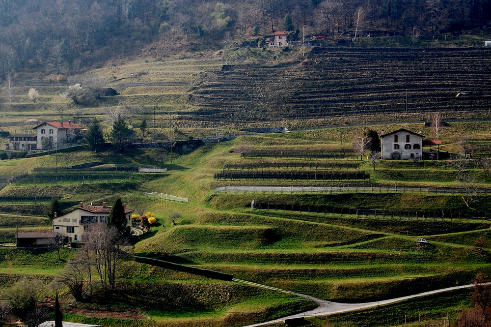 Colline Svizzere