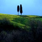 Colline Toscana