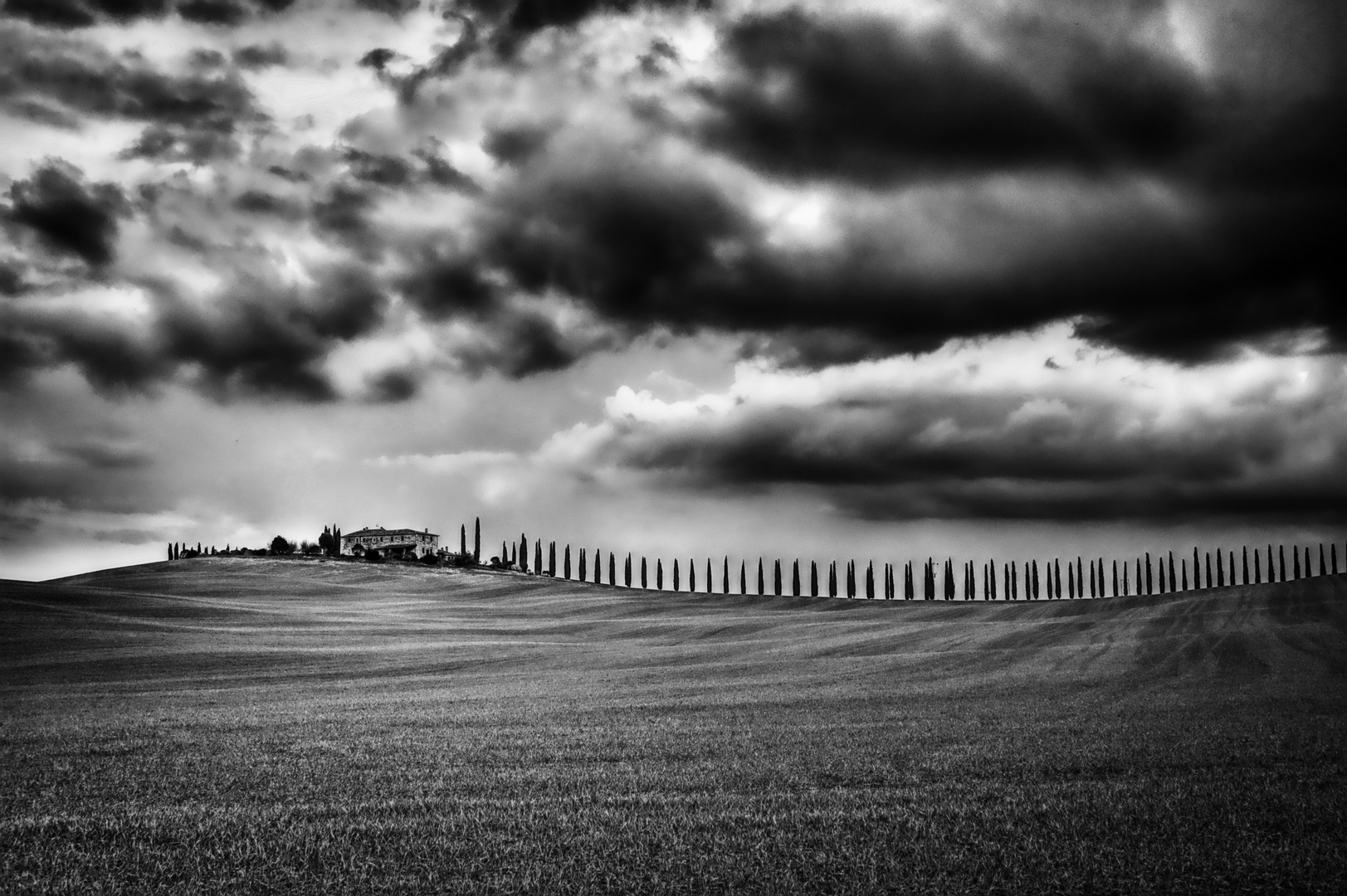 Colline toscane