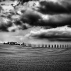 Colline toscane