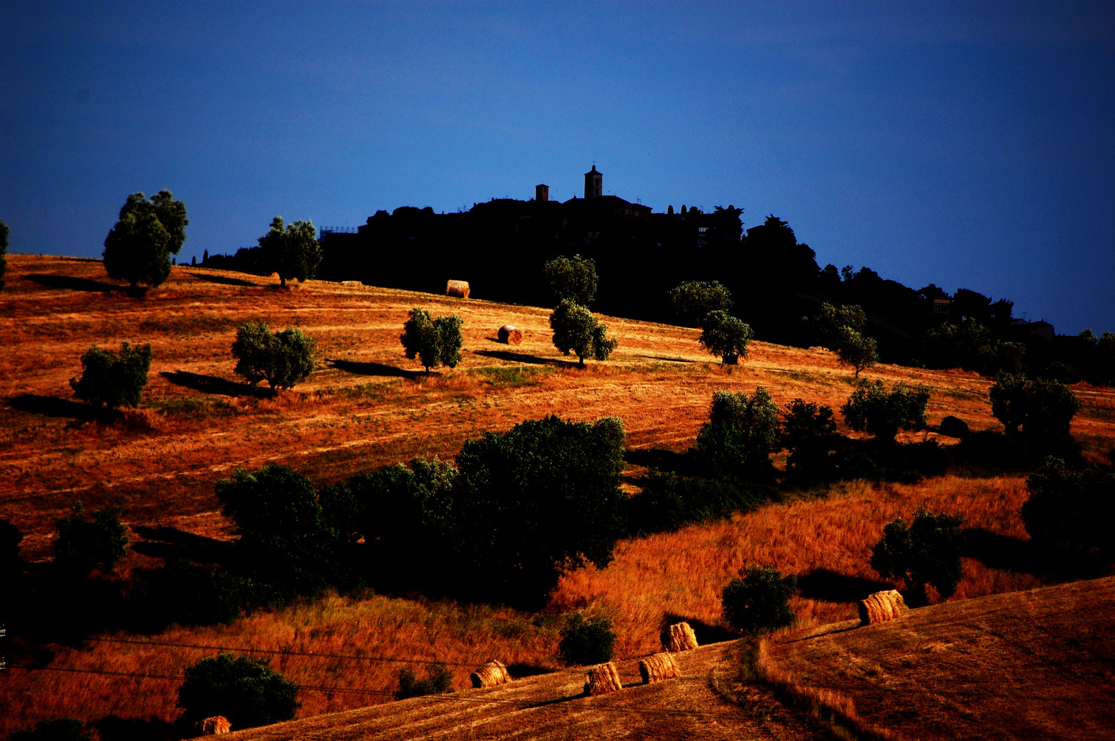 Colline toscane.