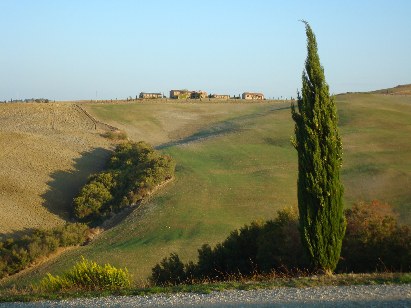 colline toscane