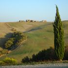 colline toscane