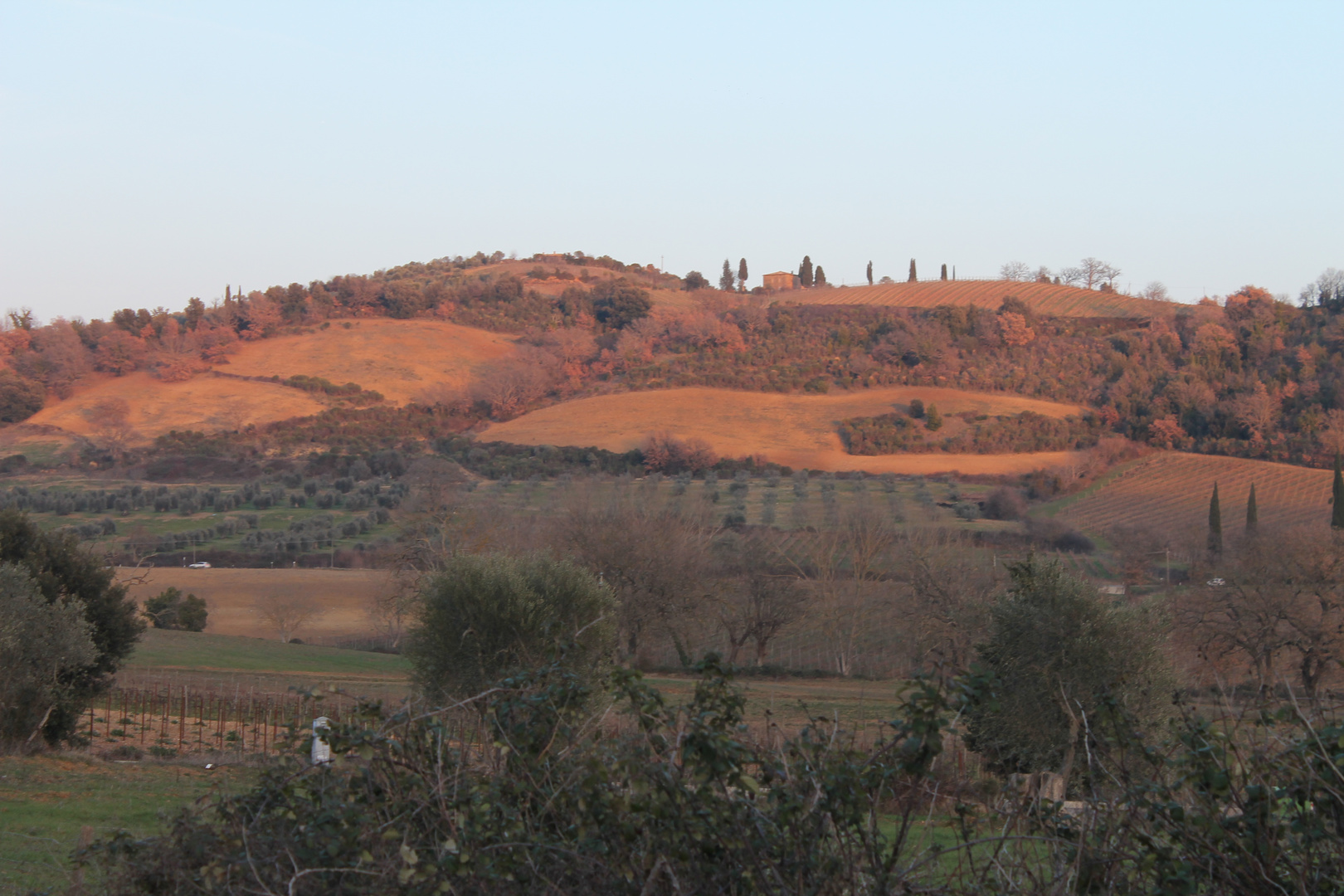 Colline Toscane