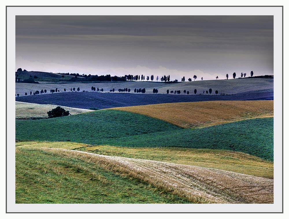 Colline Toscane 9