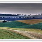 Colline Toscane 9