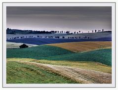 Colline Toscane 9