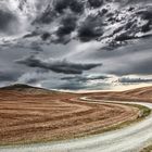 Colline toscane