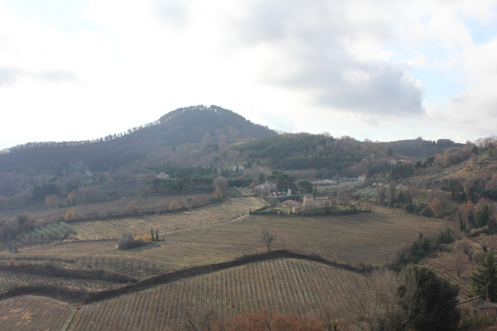 Colline toscane