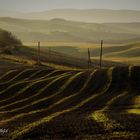 Colline toscane