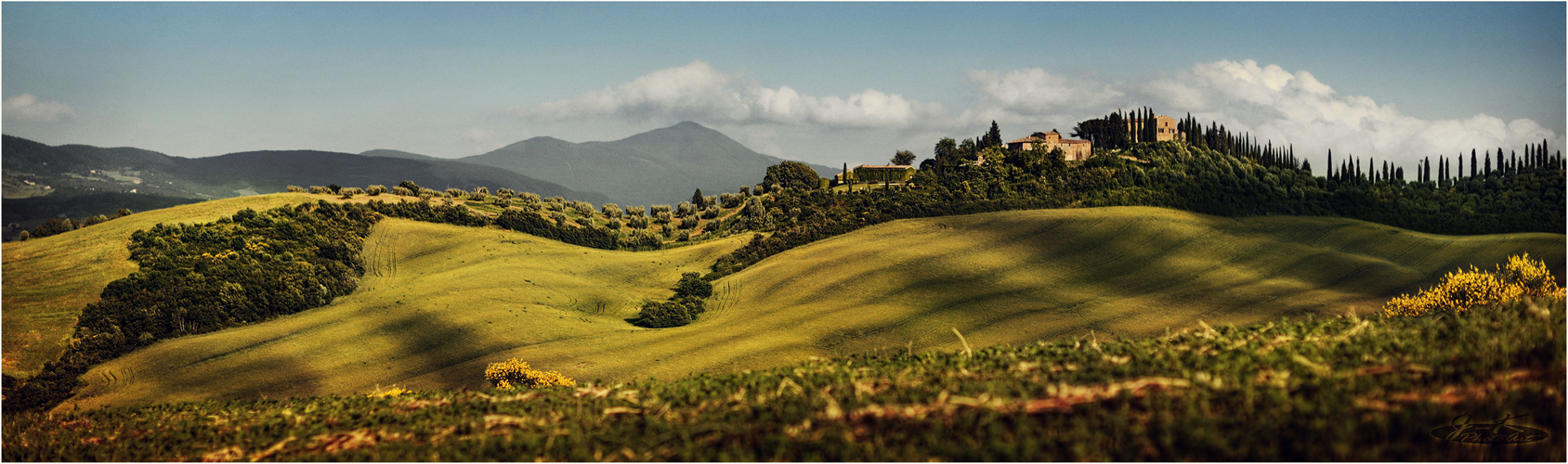 [ colline verdi ] 