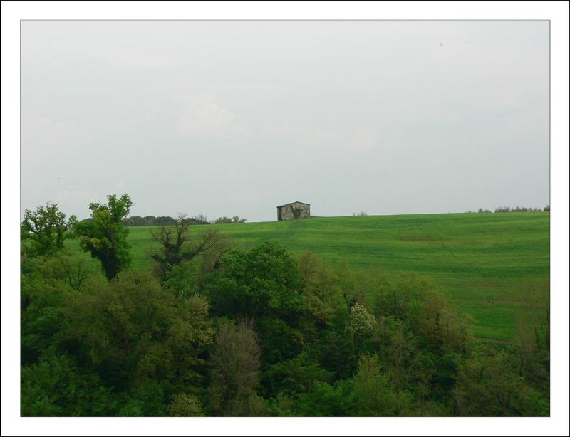 Colline verdi