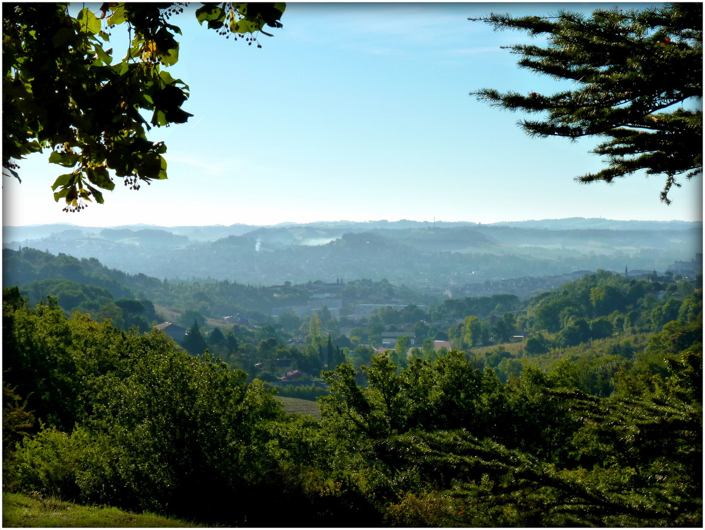 COLLINES - DANS - LA - BRUME - 1 -