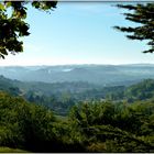 COLLINES - DANS - LA - BRUME - 1 -