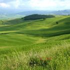 Collines de la Val d'Orcia