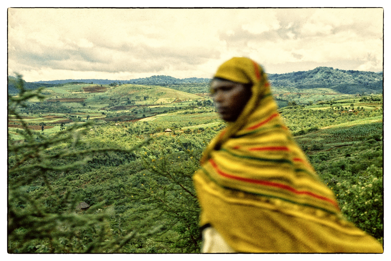 Collines du Burundi 1993