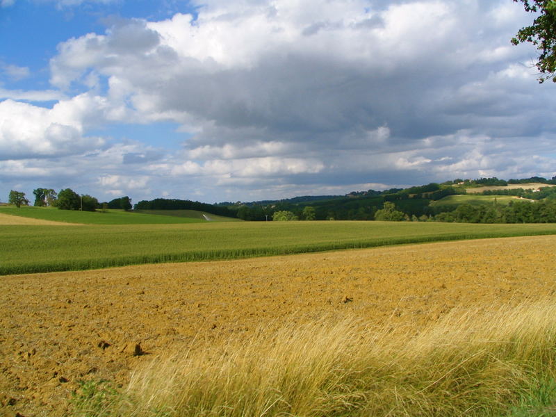 Collines du Gers (32) France