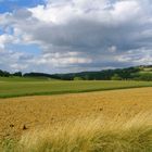 Collines du Gers (32) France