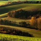 Collines du Lauragais