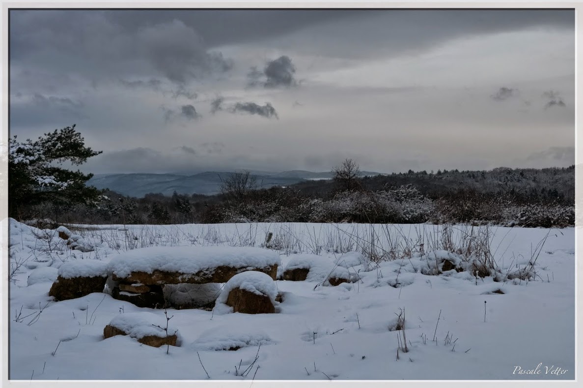 collines Jesselberg en janvier