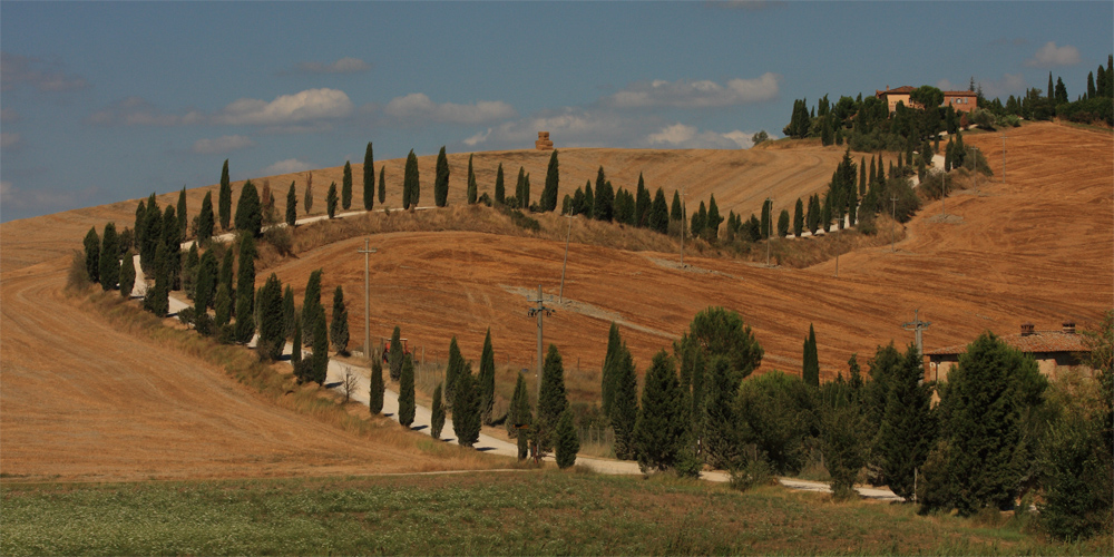 Collines toscanes 3