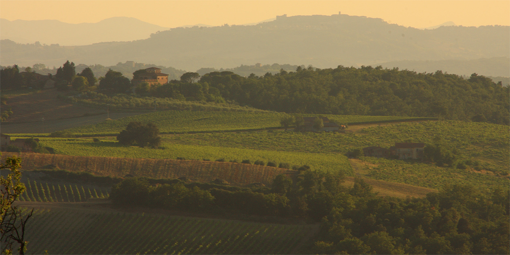 Collines toscanes 4