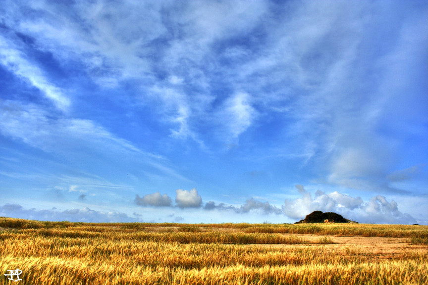 collinetta nel Sinis