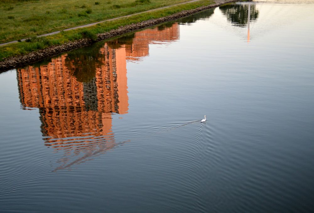 Collini im Neckar