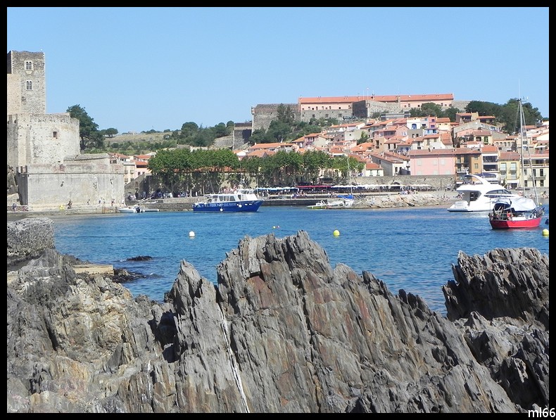 collioure