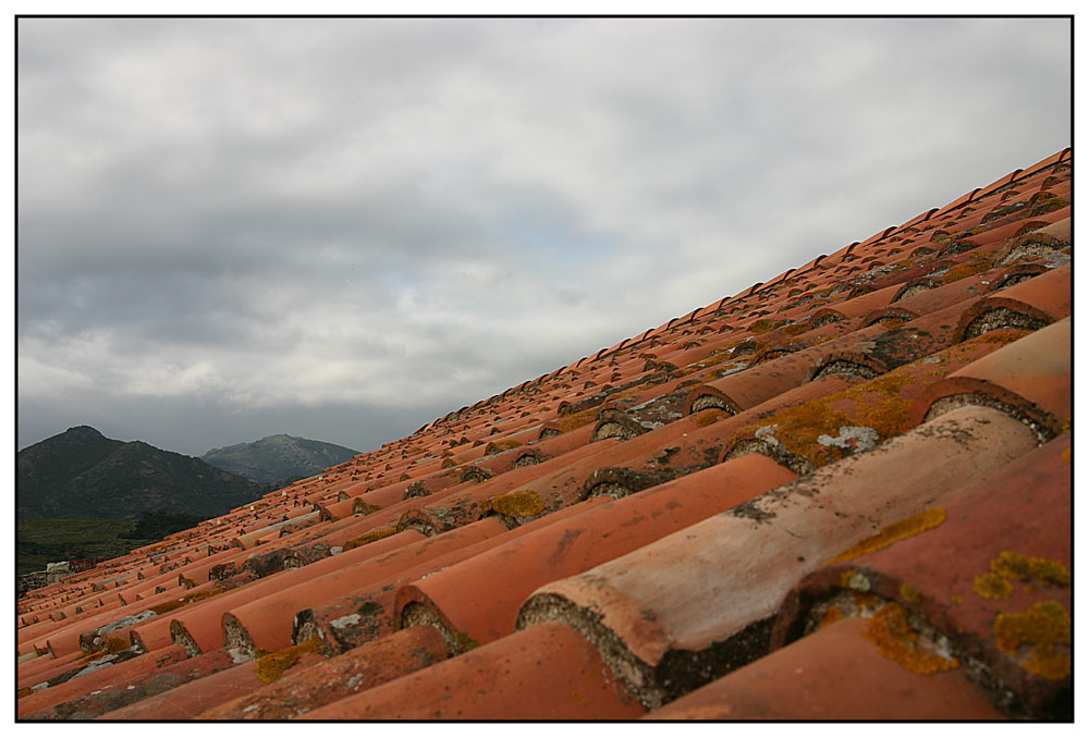 Collioure