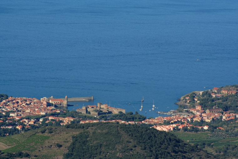 Collioure (66)