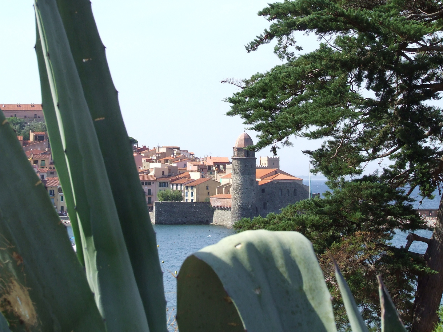 Collioure