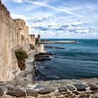 Collioure am Mittelmeer (Rousillon FR)