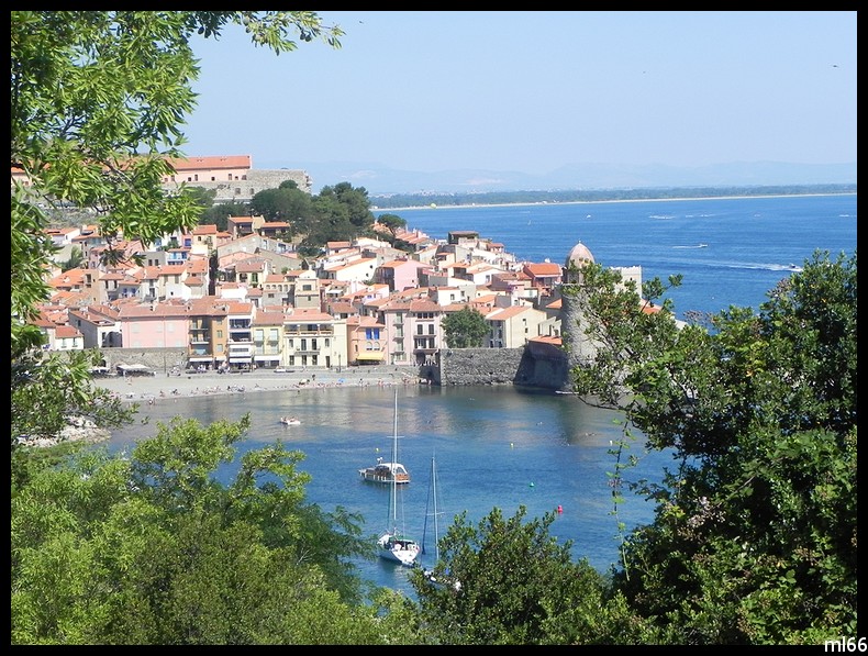 collioure