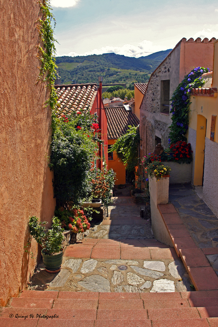 COLLIOURE