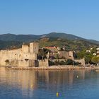 Collioure früh am Morgen 2