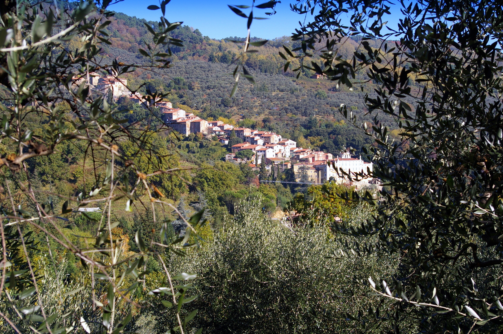 Collodi vista da S.Gennaro