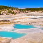 Colloidal Pool, Yellowstone NP, Wyoming, USA