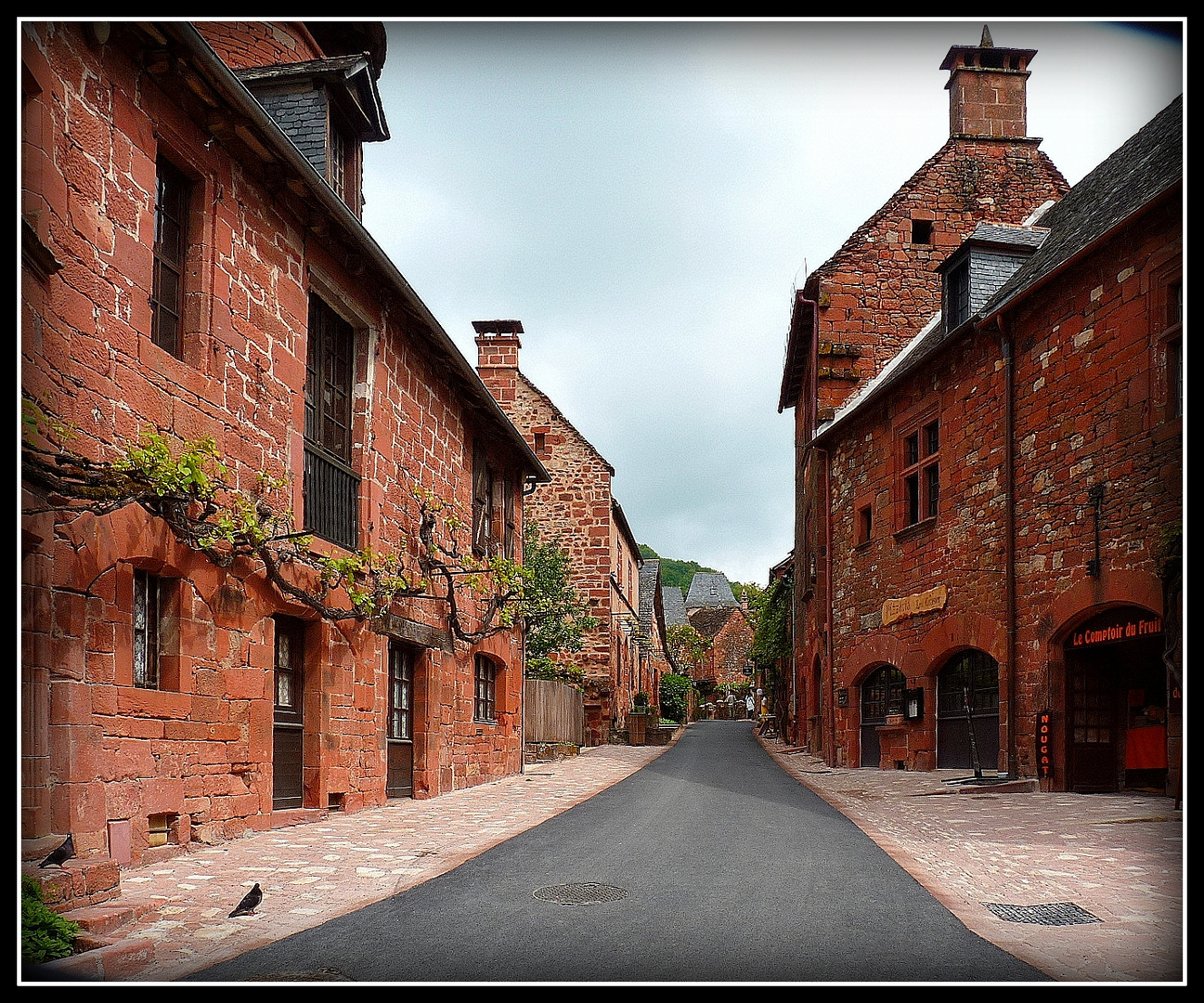 COLLONGES - 5 -