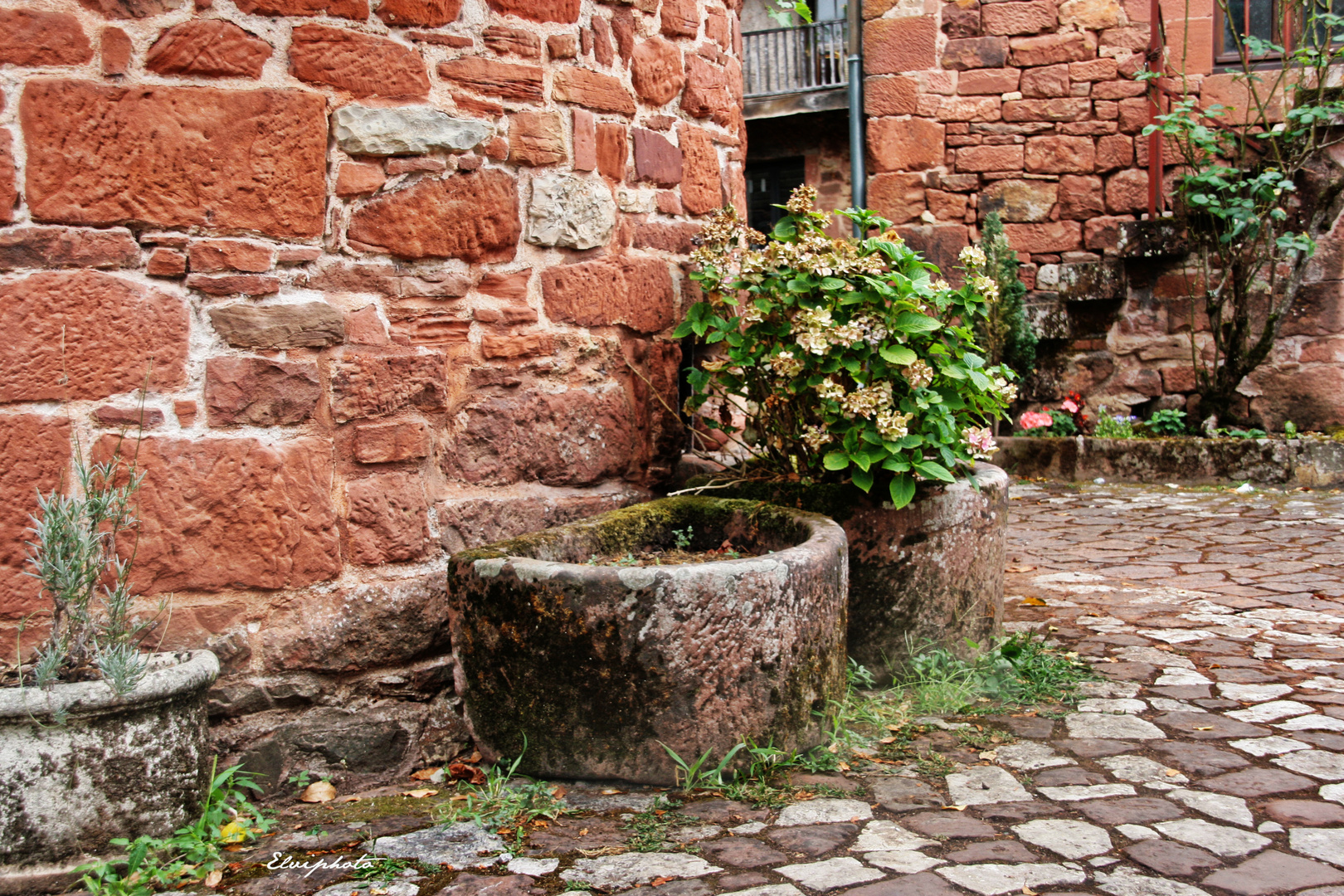 Collonges la Rouge 