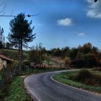 Colloquio garbato tra uomo e natura