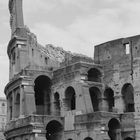 Colloseum