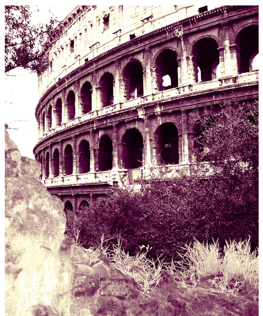 Colloseum