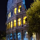 Colloseum by night