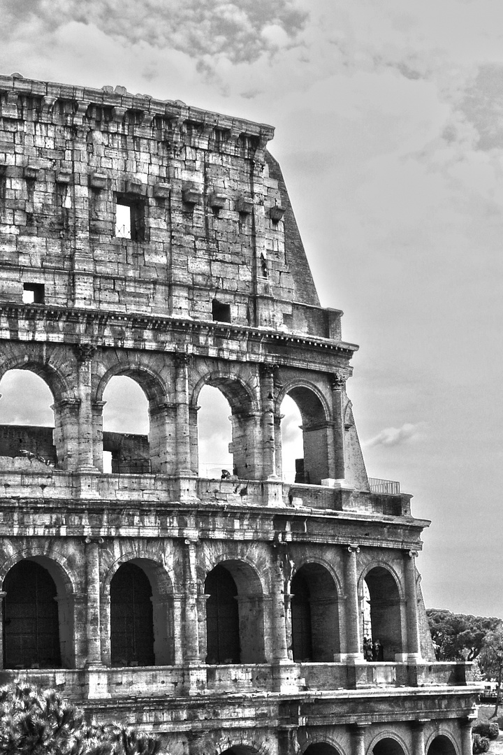 Colloseum