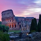 Colloseum fablich verstärkt