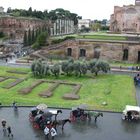 Colloseum in Rom bei Regen