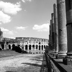 Colloseum S/W