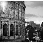 ~ COLLOSSEO ~